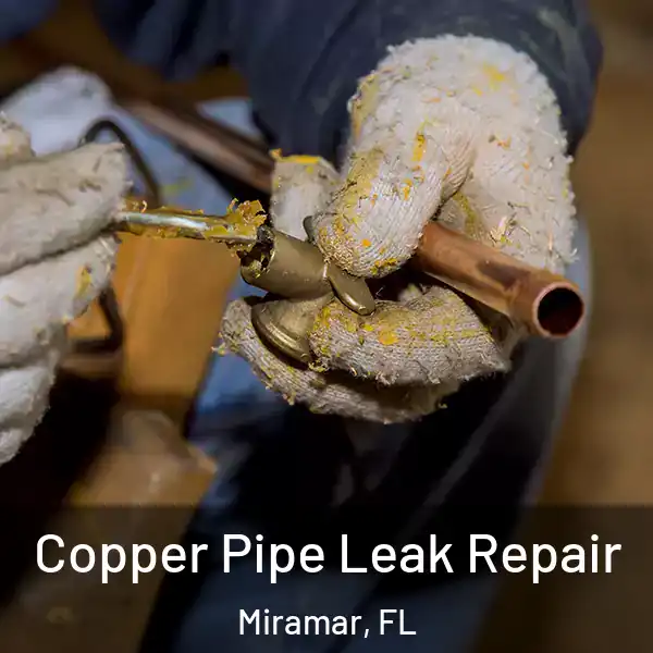  Copper Pipe Leak Repair Miramar, FL