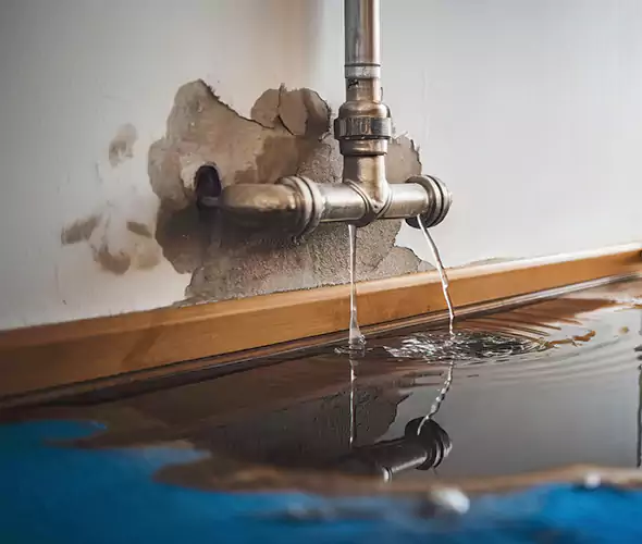Professional Water Damage Restoration Experts in Miramar, FL — Fast, Reliable & Certified