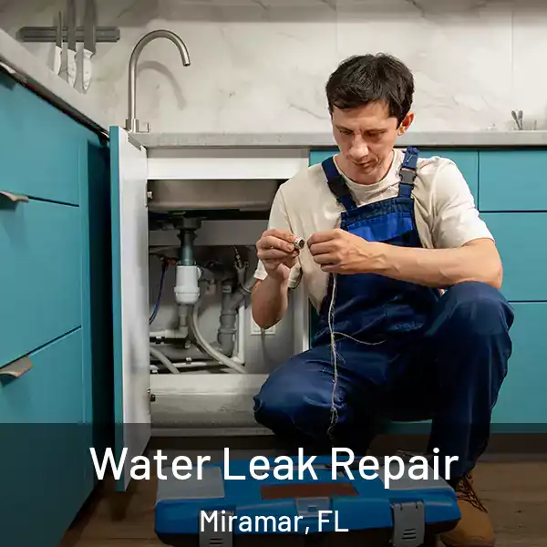  Water Leak Repair Miramar, FL